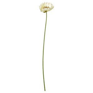 {{photo.Alt || photo.Description || 'SMYCKA, искусственный цветок для дома и улицы Мак/белый'}}