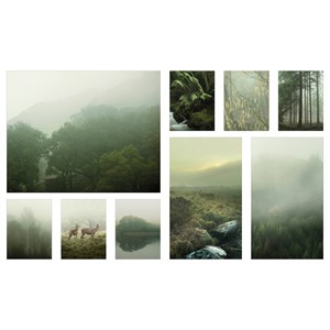 {{photo.Alt || photo.Description || 'PJÄTTERYD, картина, набор 9 шт., Туман в лесу'}}