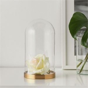 {{photo.Alt || photo.Description || 'BEGÅVNING, стеклянный купол с основанием'}}