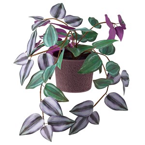 {{photo.Alt || photo.Description || 'SMÅTÄRNA, искусственное растение в горшке, бумага/Зверобой'}}