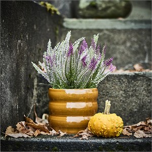 {{photo.Alt || photo.Description || 'FEJKA, искусственное растение в горшке, для дома/улицы/вересковая сирень'}}