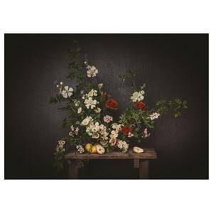 {{photo.Alt || photo.Description || 'PJÄTTERYD, картина, цветы-на фоне черной стены'}}