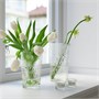 SMÄLLSPIREA, ваза, прозрачное стекло/с рисунком 305.421.76