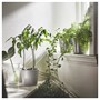 SMÄLLSPIREA, ваза, прозрачное стекло/с рисунком 305.421.76