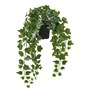 FEJKA, искусственное горшечное растение, подвесное для дома и улицы/Плющ 706.008.81