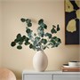 TORKA, сушеные растения, пучок/зеленый эвкалипт 506.381.30