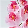 SMYCKA, искусственный цветок, для дома/улицы/розовая орхидея 505.871.59