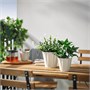 KVASTSPIREA, растительный горшок, внутренний/наружный/грязно-белый 806.110.25