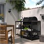 GRILLSKÄR, барбекю на углях с кухонным островом, нержавеющая сталь/для улицы 596.189.29