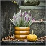 HASSELBUKETT, растительный горшок, внутренний/наружный/коричнево-желтый 606.218.22