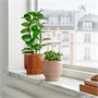 HONUNGSPALM, растительный горшок, внутренний/наружный/бежевый 105.957.93