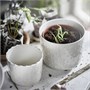 SESAMFRÖN, растительный горшок, внутри/снаружи грязно-белый 204.783.50