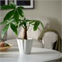 KVASTSPIREA, растительный горшок, внутренний/наружный/грязно-белый 406.110.27