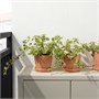 BRUNBÄR, кастрюля с блюдцем, открытая терракота 505.108.29