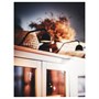 TVÄRDRAG, освещение шкафа, черное/диммируемое 505.168.26