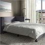 PÄRUP, 2-местный диван-кровать, Виссле серый 893.891.39