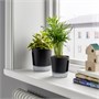 VÅRDTRÄD, самополивающийся горшок для растений, для внутреннего и наружного использования, прозрачный/антрацитовый 205.708.67