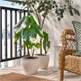 FEJKA, искусственное растение в горшке для дома и улицы Алоказия 506.008.96