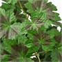 FEJKA, искусственное растение в горшке, для дома и улицы 906.008.99
