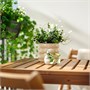 FEJKA, искусственное растение в горшке, кенгуру 706.300.48