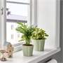 BROKSPIREA, горшок для растений, светло-зеленый 605.865.93