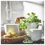 SOJABÖNA, горшок для растений, белый 005.335.93