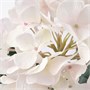 SMYCKA, искусственный цветок для улицы и дома Гортензия/светло-розовый 505.380.41