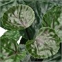 FEJKA, искусственное горшечное растение для дома и улицы Аралия 406.008.92