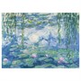 PJÄTTERYD, картина, Кувшинки, 1916 19 805.789.07