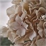 SMYCKA, искусственный цветок, гортензия для дома и улицы/светло-бежевый 106.373.35
