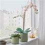 FEJKA, искусственное растение в горшке, орхидея белая 906.152.35