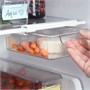 KLIPPKAKTUS, ящик для хранения в холодильнике 605.728.07