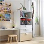SMÅSTAD / PLATSA, книжный шкаф, белая берёза/с 3 ящиками 093.889.59