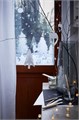 MÅLA, кисть, набор из 6 шт. 901.933.20