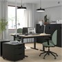 MITTZON, письменный стол, березовый шпон/черный 995.258.48