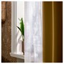 MATILDA, прозрачные шторы, 1 пара, белые/с тесьмой 506.293.24
