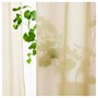 ROSENROBINIA, прозрачные шторы, 1 пара, бежевые/с тесьмой 505.648.55