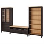HEMNES, Комбинация для хранения ТВ, черно-коричневый/светло-коричневый прозрачное стекло 493.365.72
